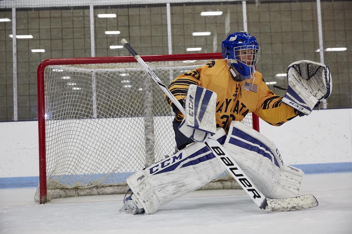 Goalie in used
